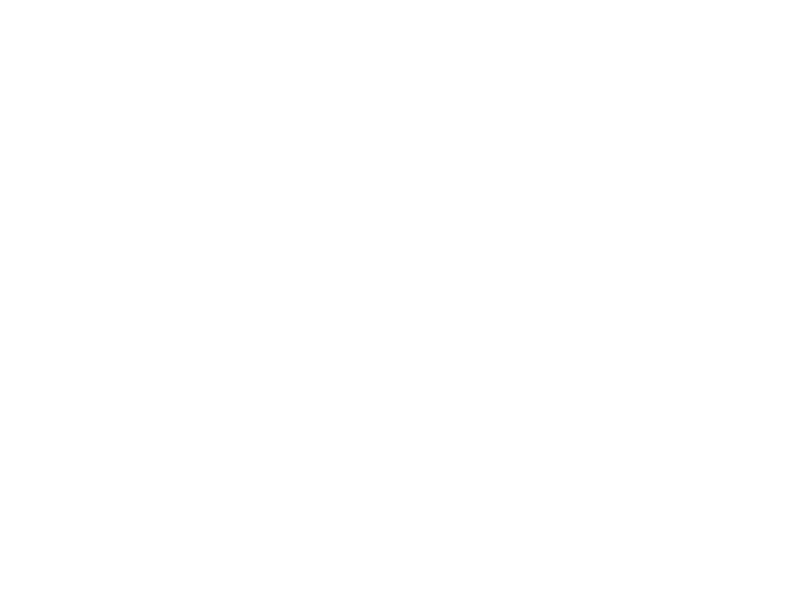 RALS™